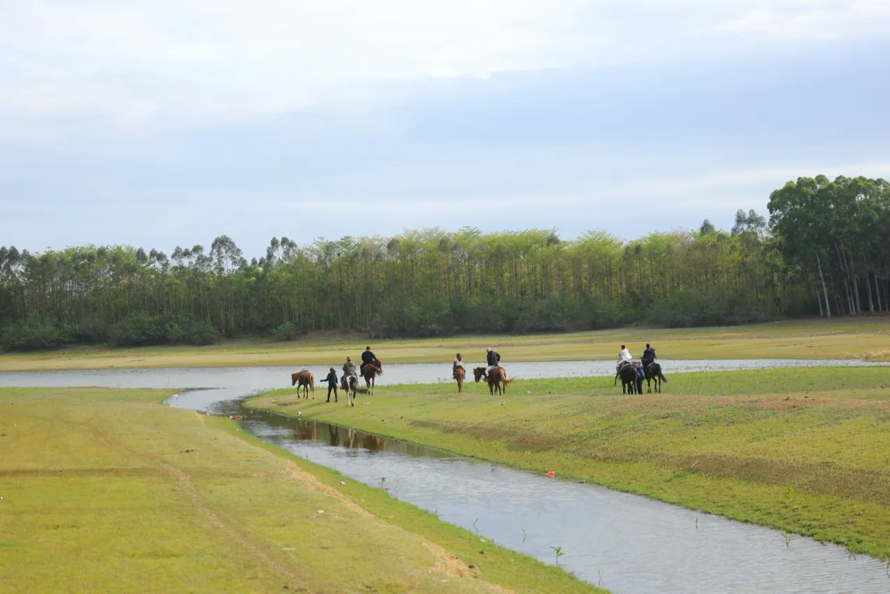 草地与湖畔骑乘体验